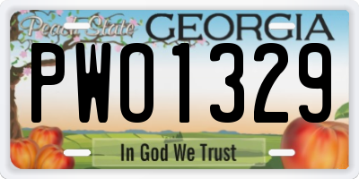 GA license plate PWO1329