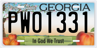 GA license plate PWO1331