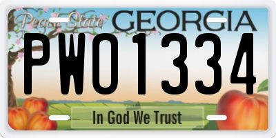 GA license plate PWO1334