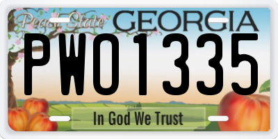 GA license plate PWO1335