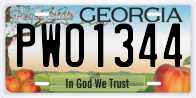 GA license plate PWO1344