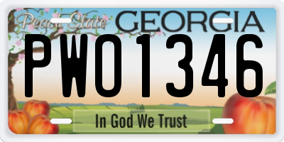 GA license plate PWO1346