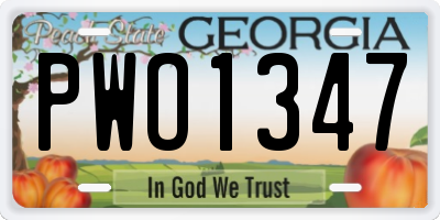 GA license plate PWO1347