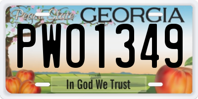 GA license plate PWO1349