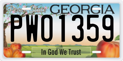 GA license plate PWO1359