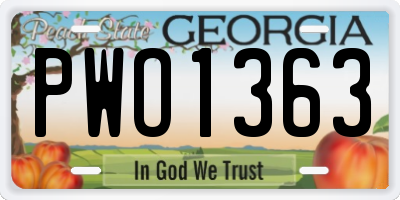 GA license plate PWO1363