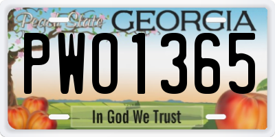 GA license plate PWO1365