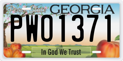 GA license plate PWO1371