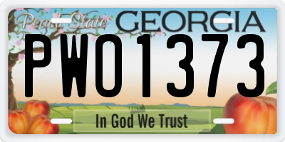 GA license plate PWO1373