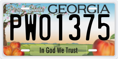 GA license plate PWO1375