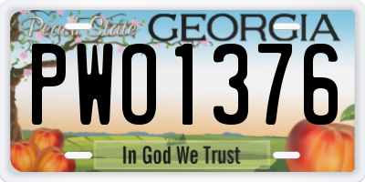 GA license plate PWO1376