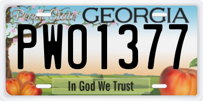 GA license plate PWO1377