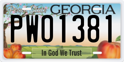 GA license plate PWO1381