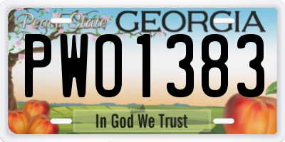 GA license plate PWO1383
