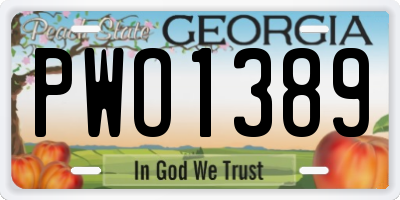 GA license plate PWO1389