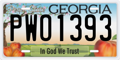 GA license plate PWO1393