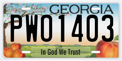 GA license plate PWO1403