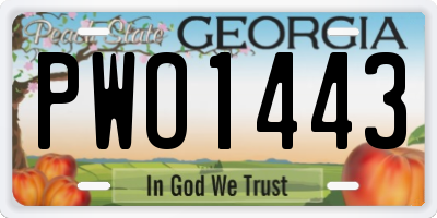 GA license plate PWO1443