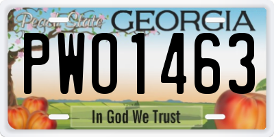 GA license plate PWO1463