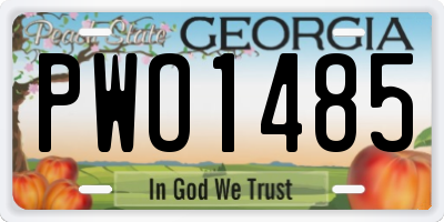 GA license plate PWO1485
