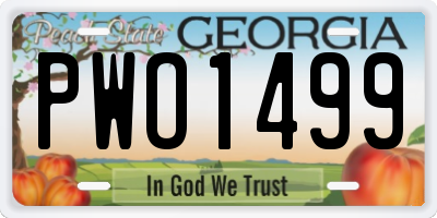 GA license plate PWO1499
