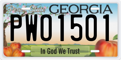 GA license plate PWO1501