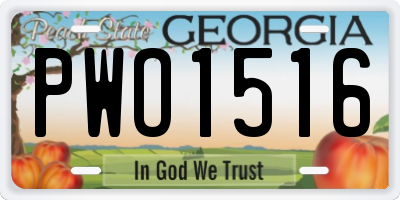 GA license plate PWO1516