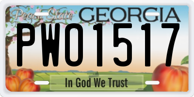 GA license plate PWO1517