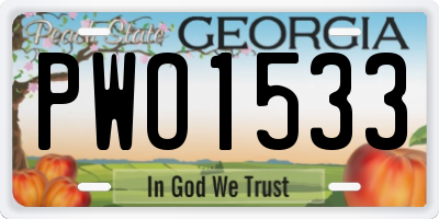 GA license plate PWO1533