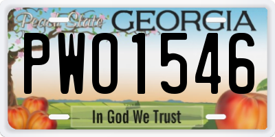 GA license plate PWO1546