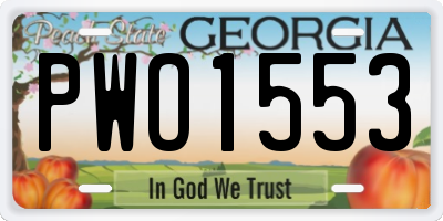 GA license plate PWO1553