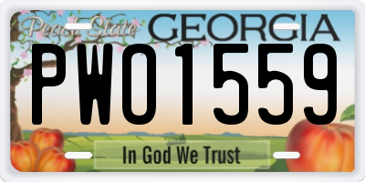 GA license plate PWO1559
