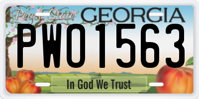 GA license plate PWO1563