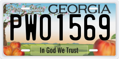GA license plate PWO1569