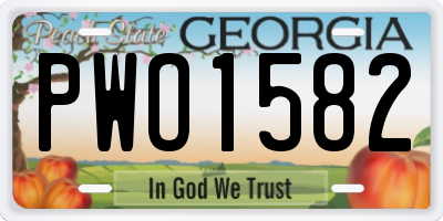 GA license plate PWO1582