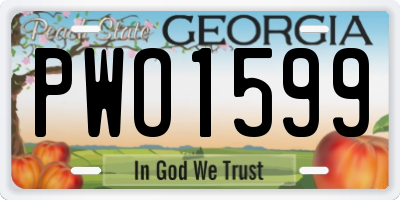 GA license plate PWO1599