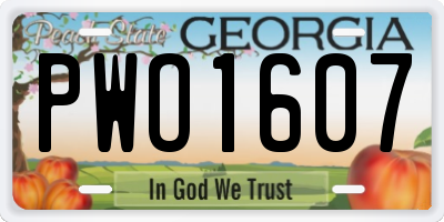 GA license plate PWO1607