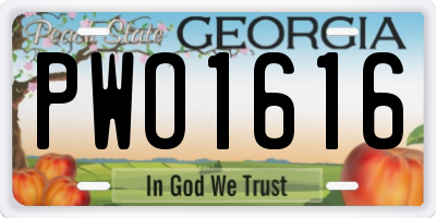 GA license plate PWO1616