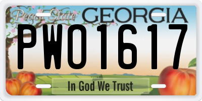 GA license plate PWO1617