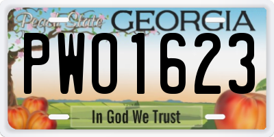 GA license plate PWO1623