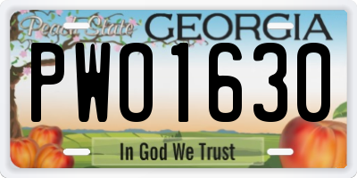 GA license plate PWO1630
