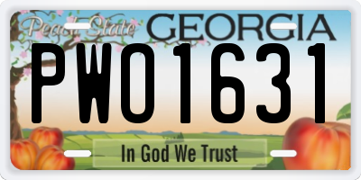 GA license plate PWO1631