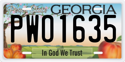 GA license plate PWO1635
