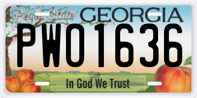 GA license plate PWO1636