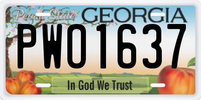 GA license plate PWO1637