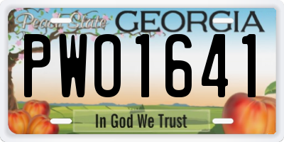 GA license plate PWO1641