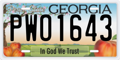 GA license plate PWO1643