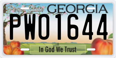 GA license plate PWO1644