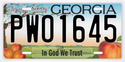 GA license plate PWO1645