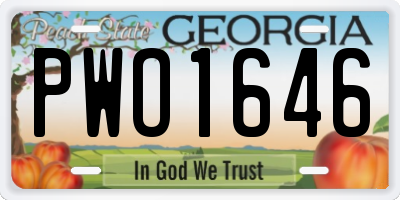 GA license plate PWO1646